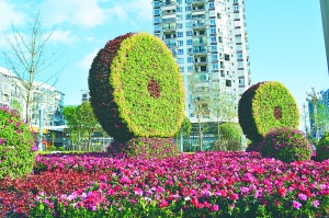 阆中街头的鲜花布景