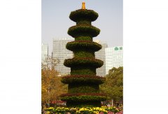 五色草造型 宝塔