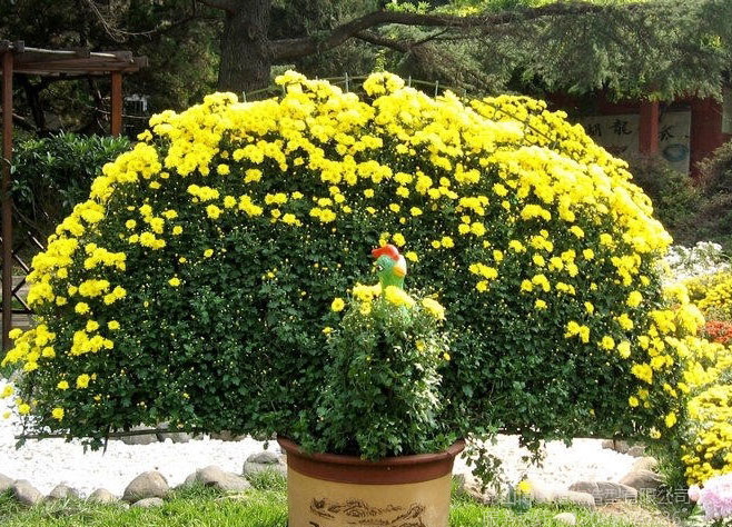 20140401145605_283.jpg