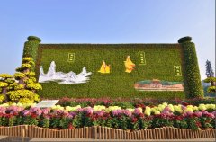 五色草造型