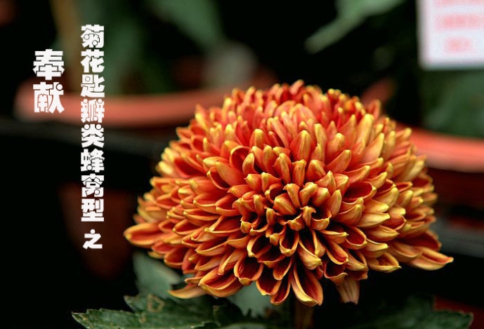 002Th1xkgy6FePb8xThf7&690.jpg