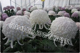 东海得月.jpg